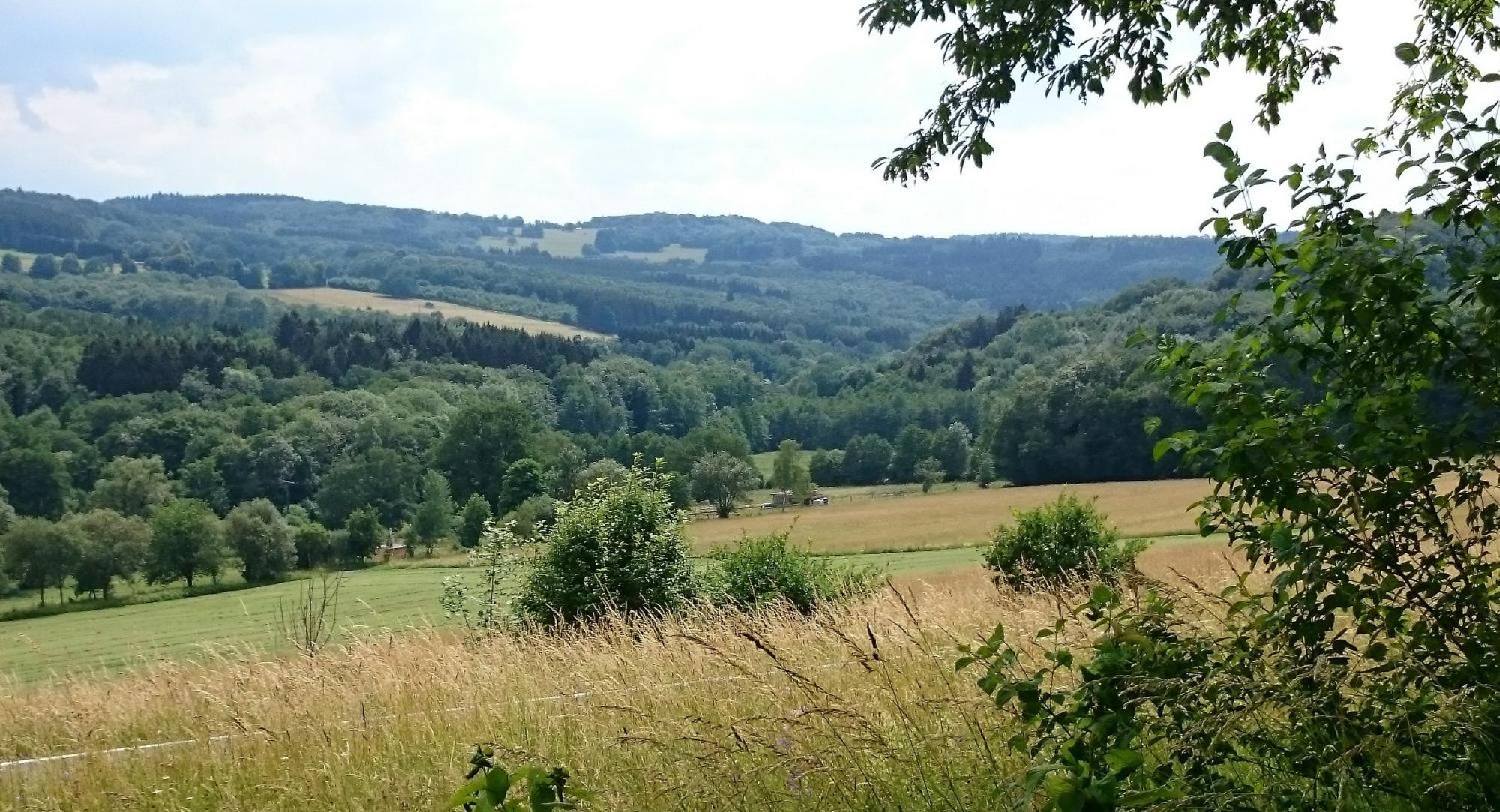 Ferienhaus Zur Schoenen Aussicht Hardt  ภายนอก รูปภาพ