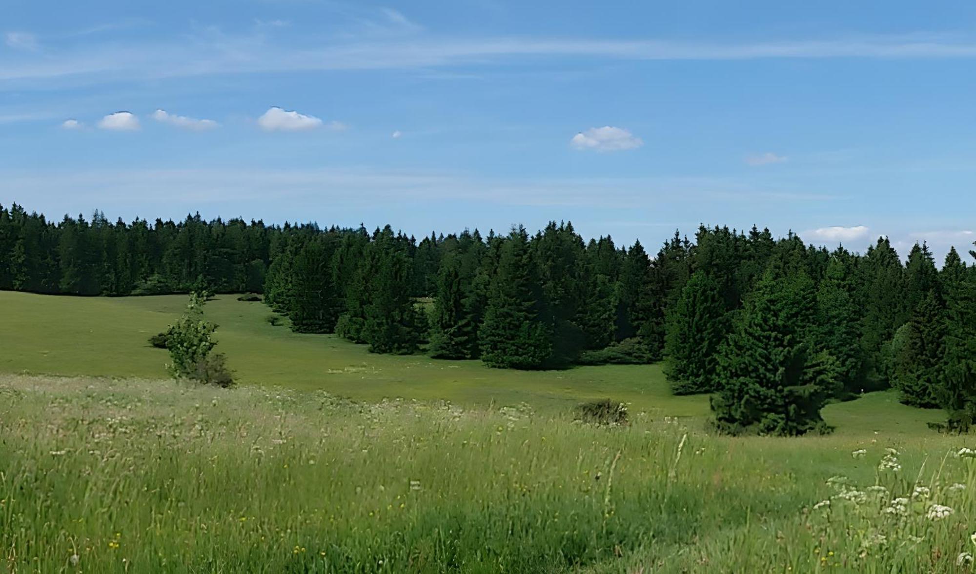 Ferienhaus Zur Schoenen Aussicht Hardt  ภายนอก รูปภาพ